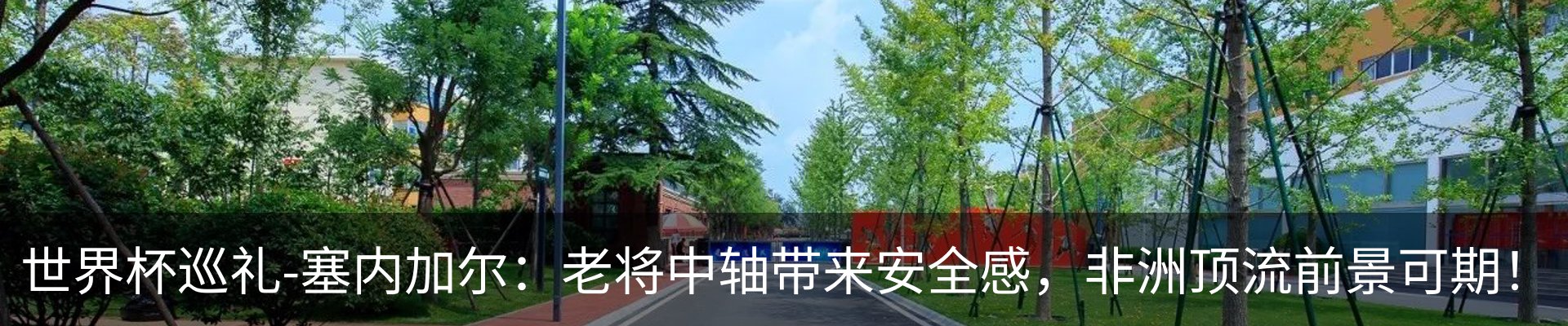 新闻动态